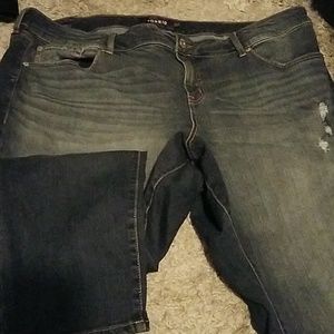 Torrid Premium Distressed Jeans